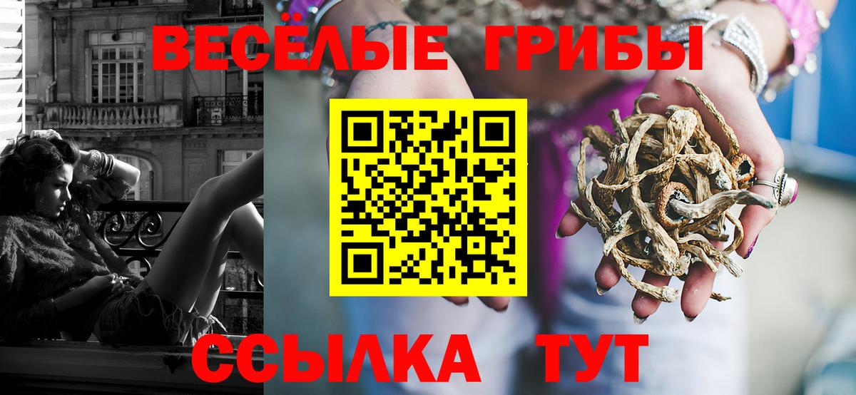 Псилоцибиновые грибы Psilocybe Саратов