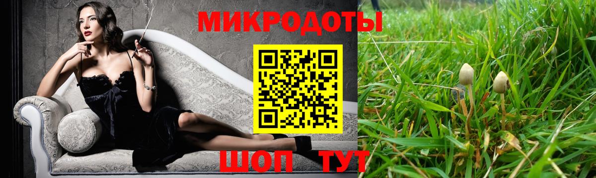 Саратов  Галлюциногенные грибы Psilocybine cubensis  Вход с VPN 